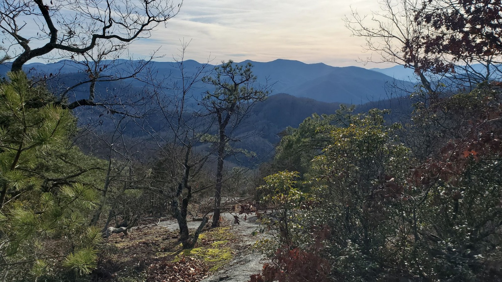 Southwest Cedar Knob view