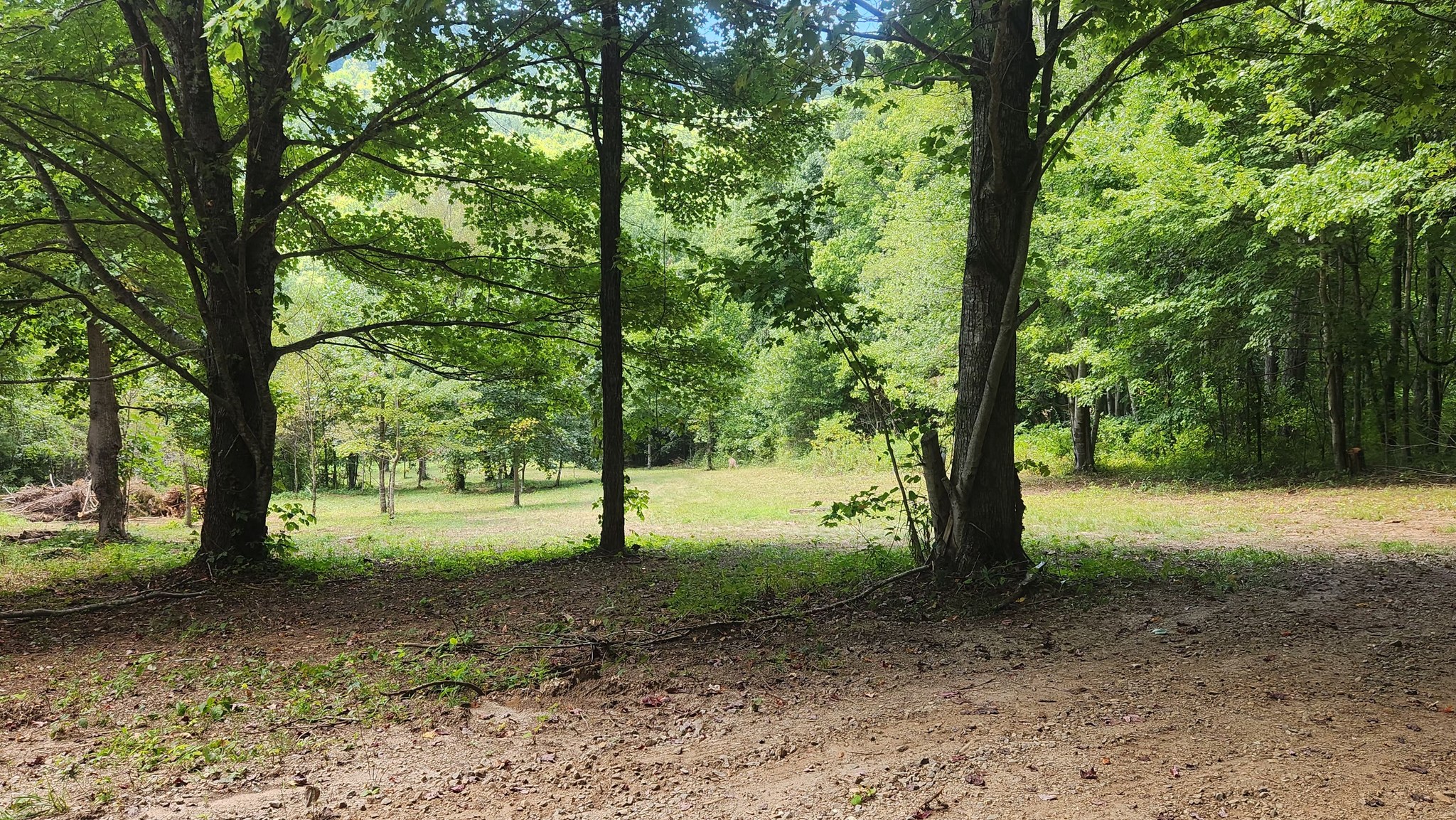 Meadow lot