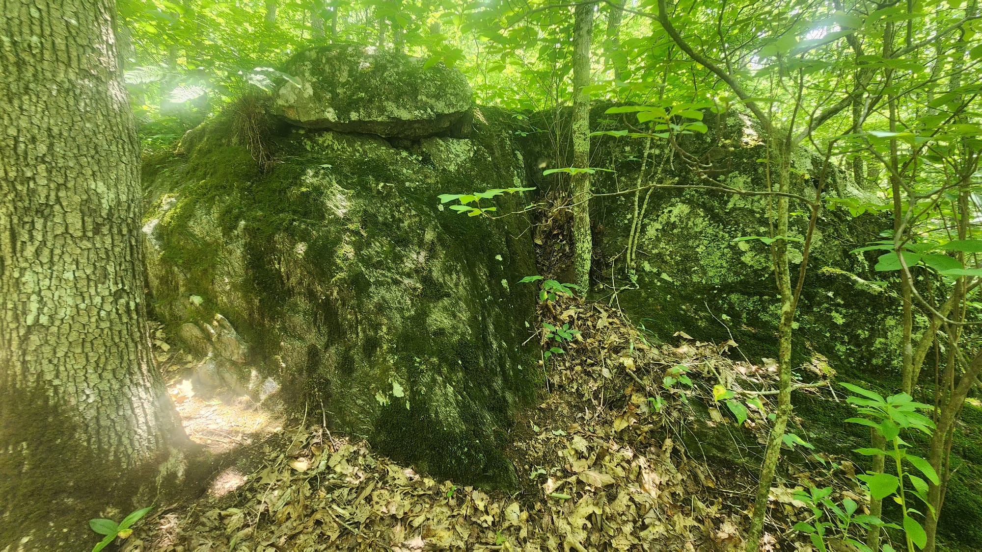 Natural rock feature